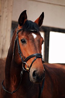 Er Lässt Sich Von Seiner Besten Freundin Reiten Er Lässt Sich Von Seiner Besten Freundin Reiten