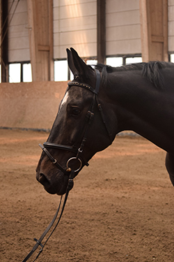 Er Lässt Sich Von Seiner Besten Freundin Reiten Er Lässt Sich Von Seiner Besten Freundin Reiten